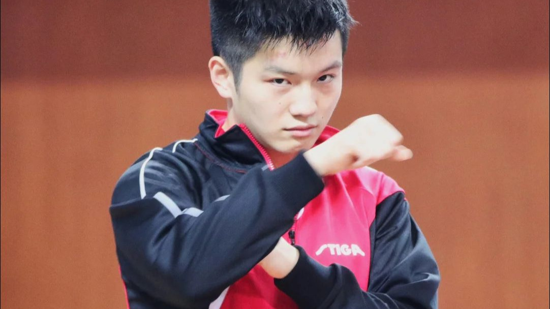 瑞典乒乓球队碾压波兰乒乓球队，樊振东绝境逆转的简单介绍