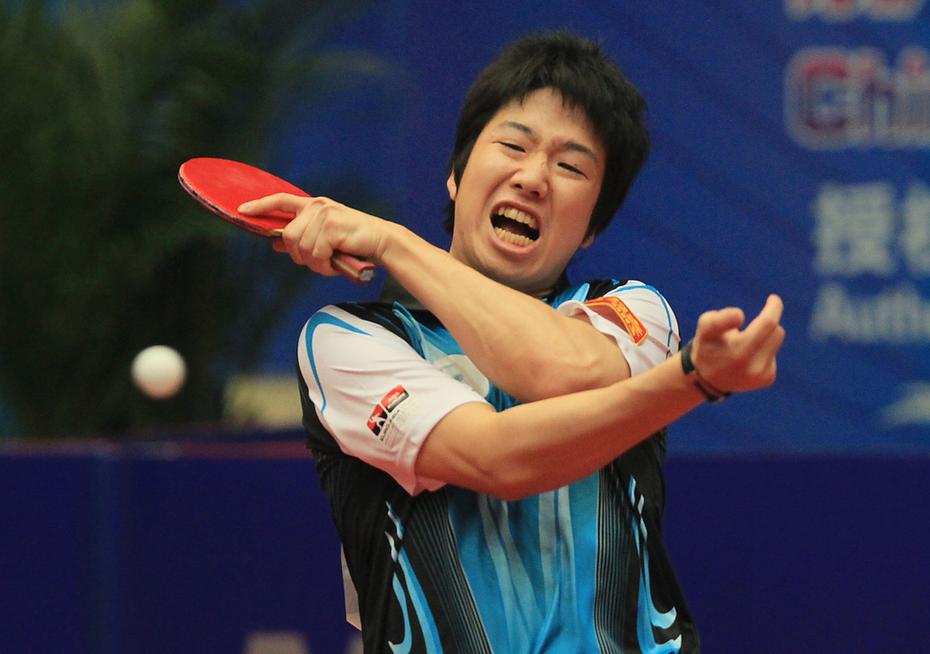 包含波兰乒乓球队爆冷奥地利乒乓球队，水谷隼送出助攻的词条