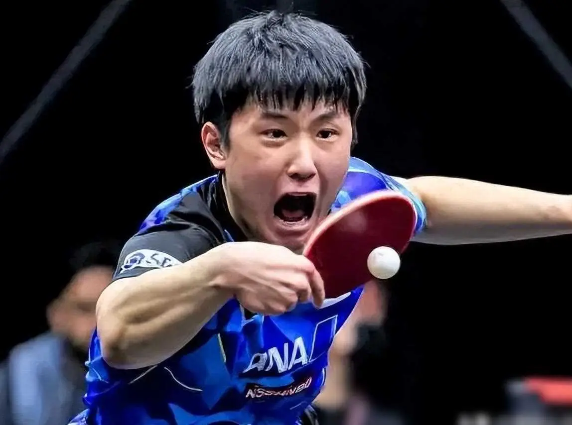 关于韩国队逆转中国队，张本智和点燃赛场的信息