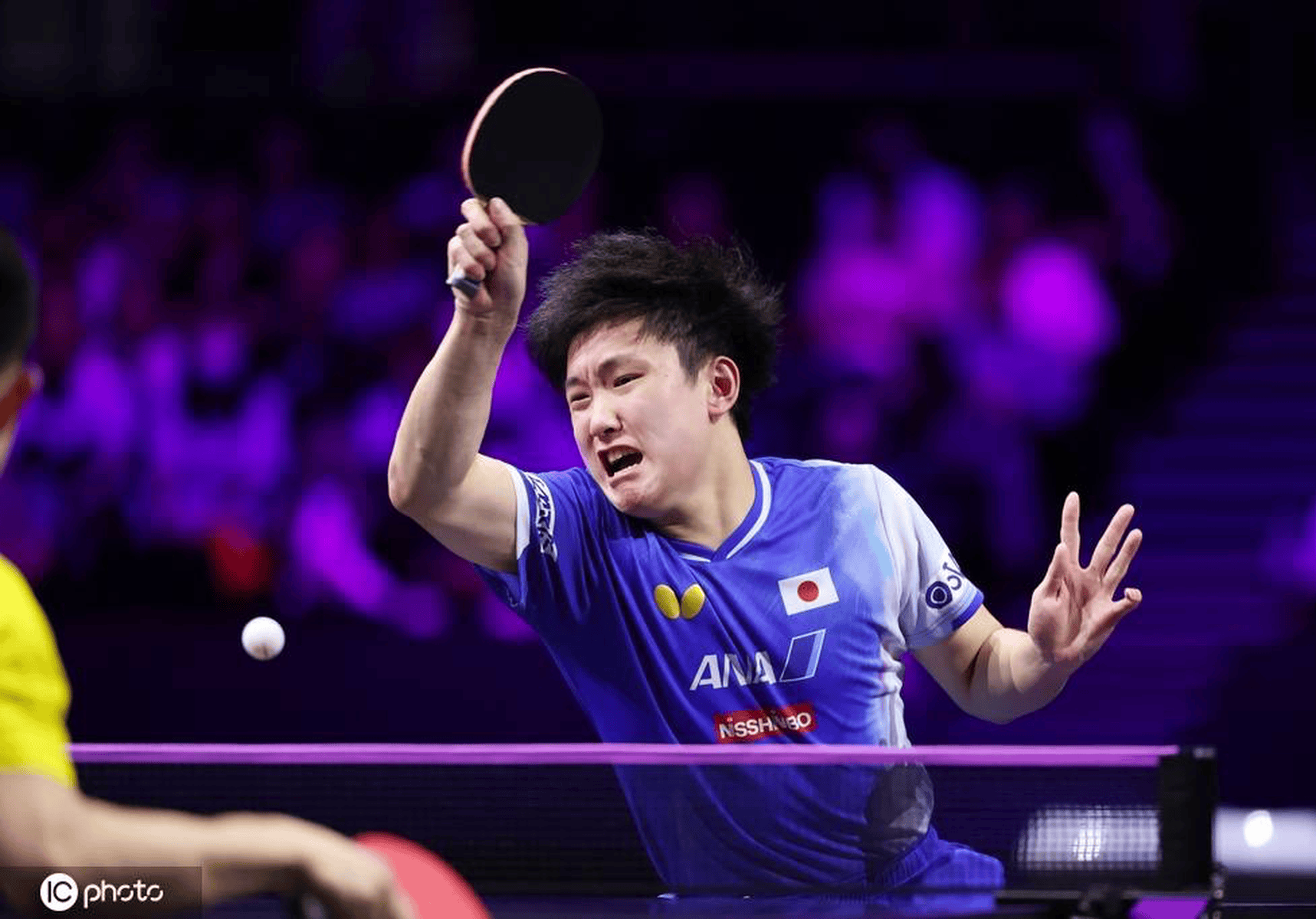 关于英格兰队力克波兰队，张本智和状态火热的信息