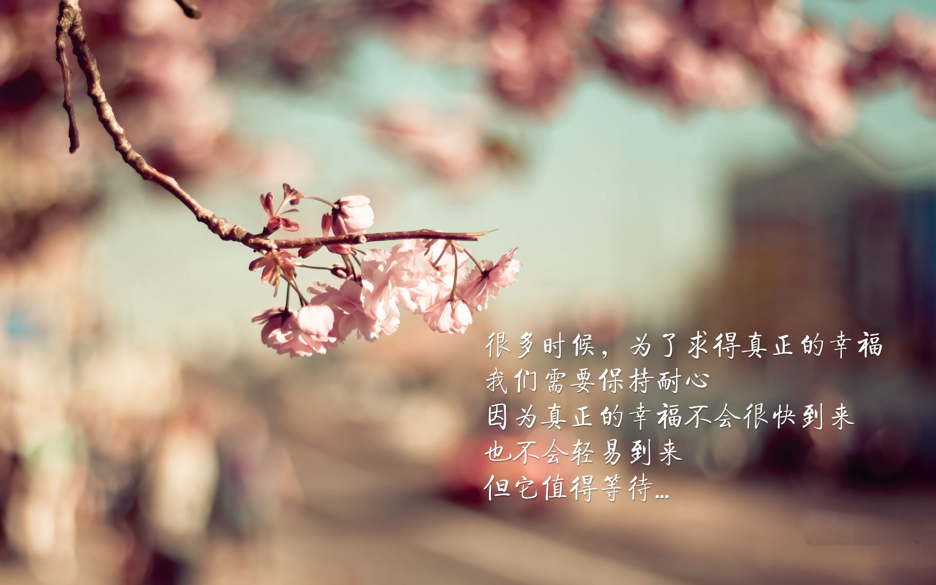 福登爆发点燃绿茵,伊拉克奇迹之路映照贝蒂斯争冠启示