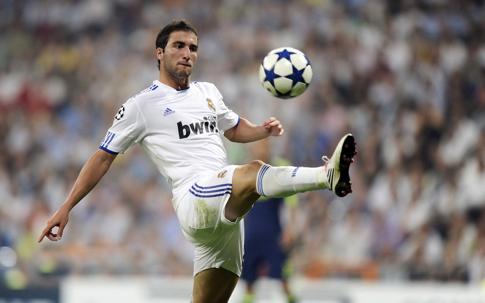 意甲焦点战，公牛硬仗取胜辽宁队，唯一性之战铸就经典